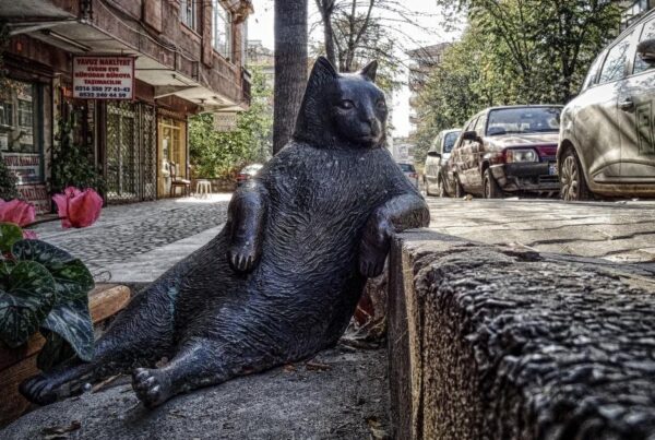 BBL (BroadBand Light) Therapy: What It Treats and How It Works