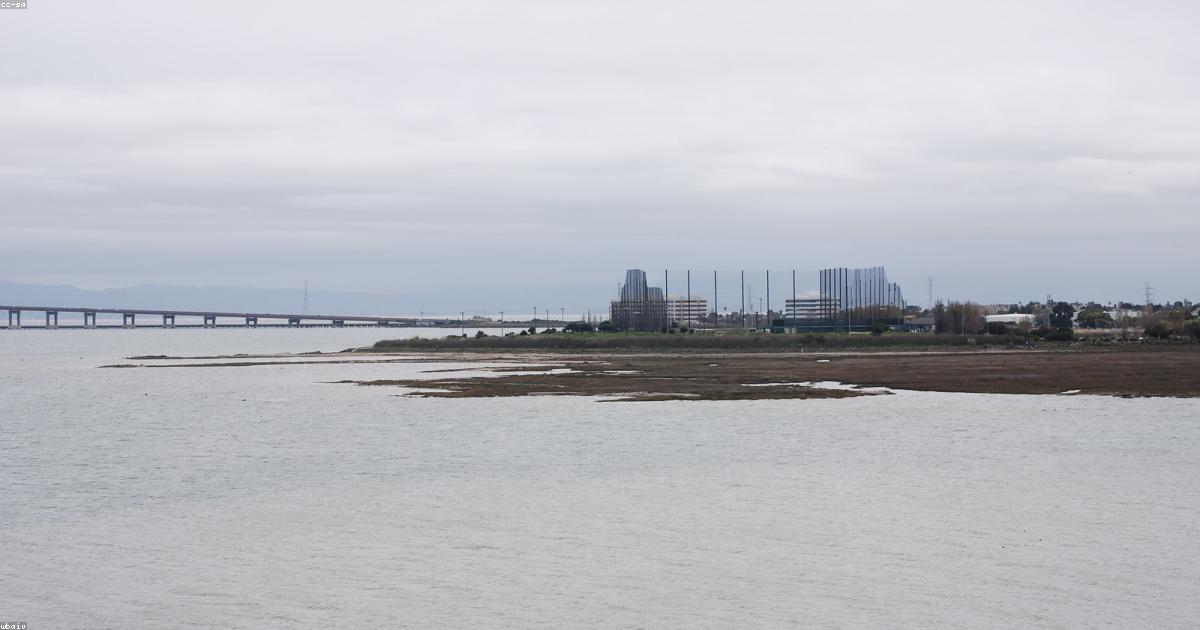 San Mateo Guide: Why the Bay Area is a Hub for Aesthetic Innovation