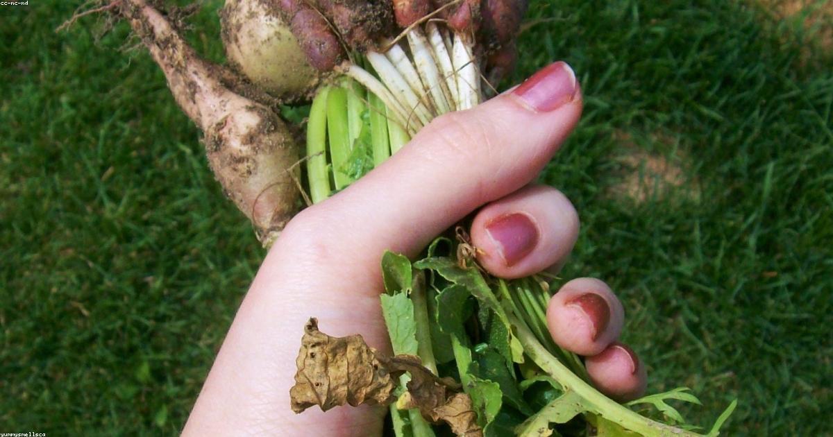 Skin Health and Nutrition: What You Eat Affects Your Skin